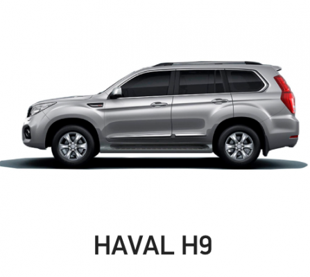 Отзывы Химчистка Haval H9